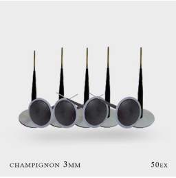 Champignons de réparation tubeless 3mm x 50 pcs