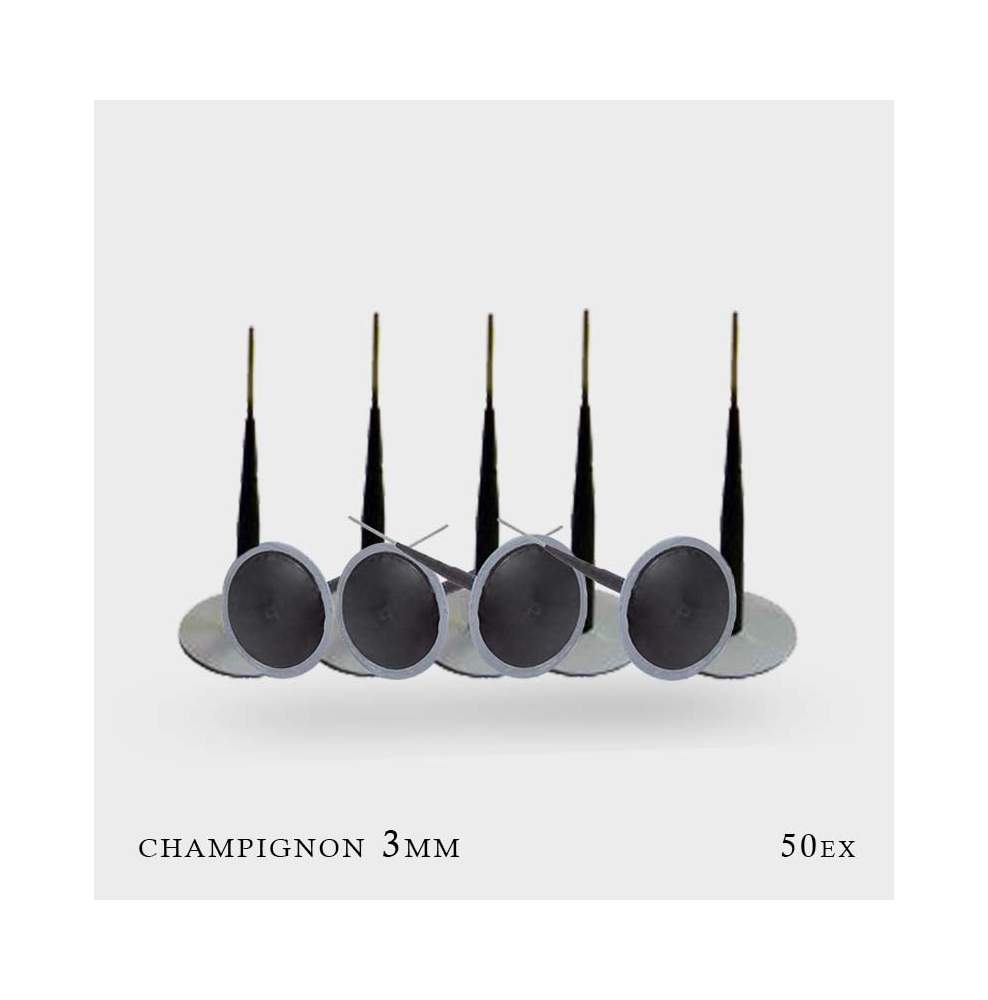 Champignons de réparation tubeless 3mm x 50 pcs