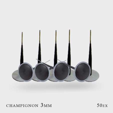 Champignons de réparation tubeless 3mm x 50 pcs