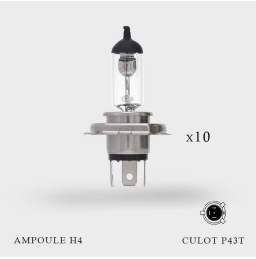 Ampoule H4 12V-60/55W Culot P43t 10ex