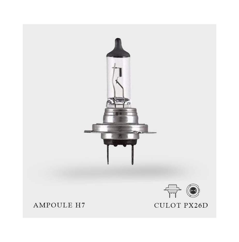 Ampoule H7 12V-55W Culot PX26d à l'unité