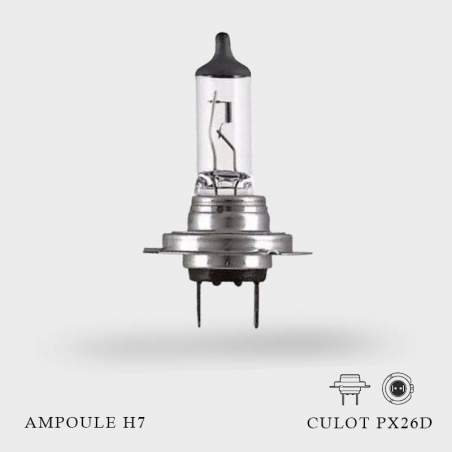 Ampoule H7 12V-55W Culot PX26d à l'unité