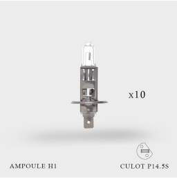 Ampoule H1 12V-55W Culot P14.5S X 10ex