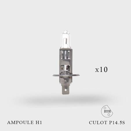 Ampoule H1 12V-55W Culot P14.5S X 10ex