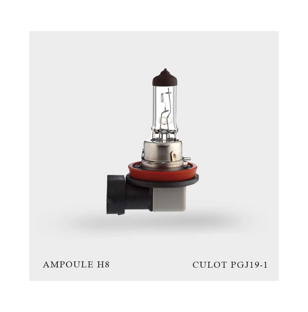 Ampoule H8 12V-35W culot PGJ19-1 unité Ampoule H8 12V-35W culot PGJ19-1 unité