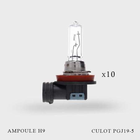 Ampoule H9 12V-65W culot PGJ19-5 x 10ex