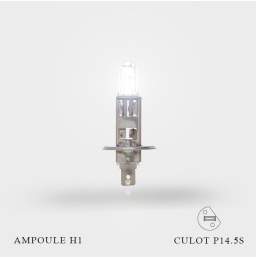 Ampoule H1 12V-55W Culot P14.5S à l'unité allumée