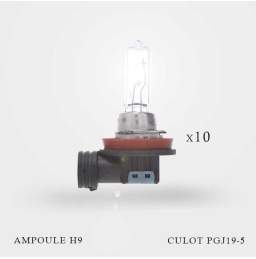 Ampoule H9 12V-65W culot PGJ19-5 x 10ex