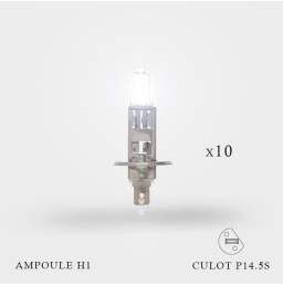 Ampoule H1 12V-55W Culot P14.5S X 10ex allumées