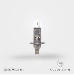 Accessoire auto : Ampoule H7 12V 55W (vendu à l'unité) pas cher