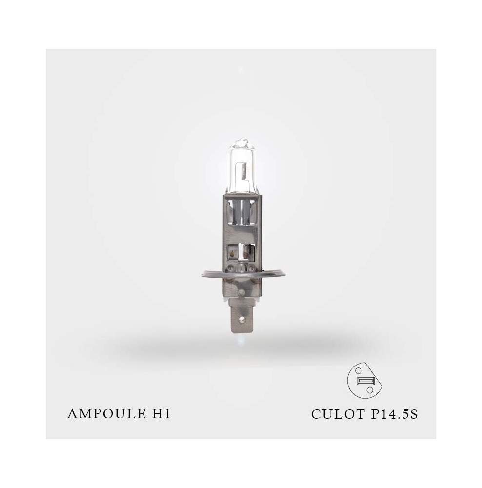 Ampoule H1 12V-55W Culot P14.5S à l'unité