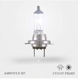 Ampoule H7 12V-55W Culot PX26d à l'unité