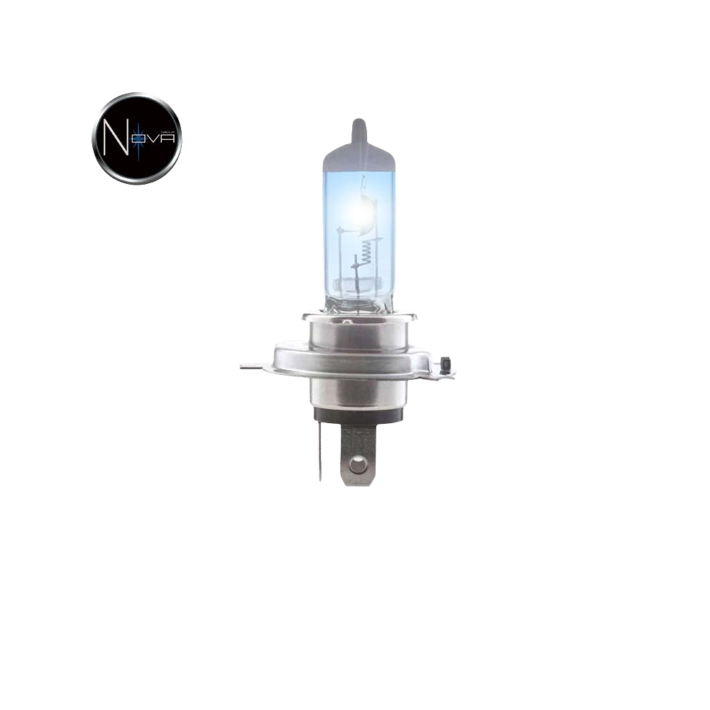 Ampoule H4 bleue par boite de 10 ex