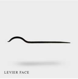 Levier FACE