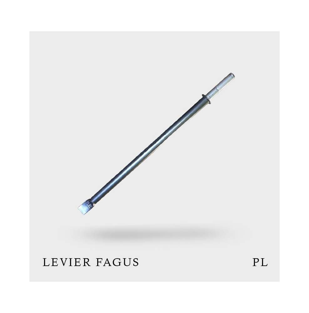 Levier type Fagus