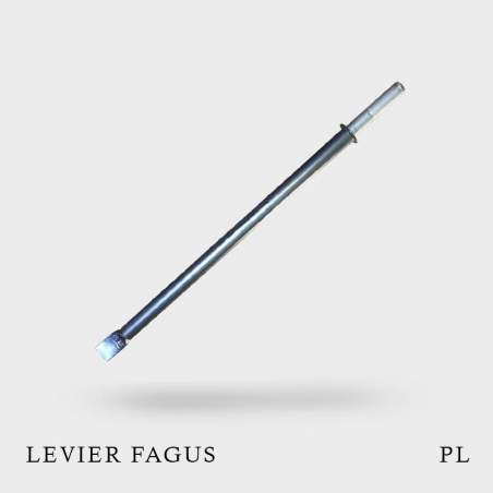 Levier type Fagus