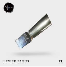 Levier type Fagus