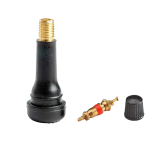 Valves TR414 démontées