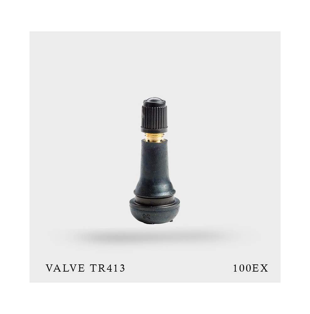 100 Valves TR413 pneu tubeless