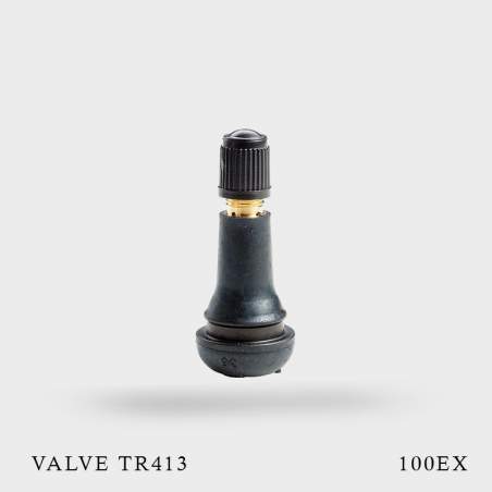 100 Valves TR413 pneu tubeless