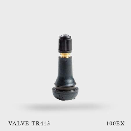 100 Valves TR413 pneu tubeless