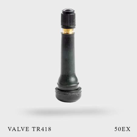 Valves tr418