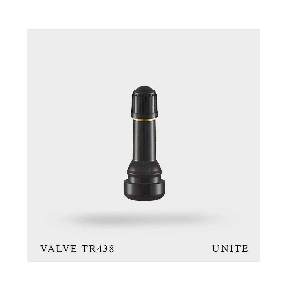 Valves TR438
