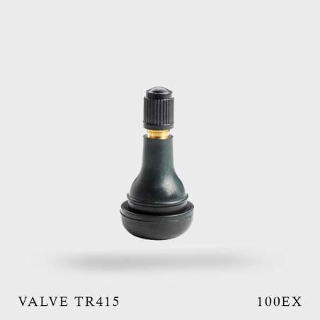 Sachet de 100 valves