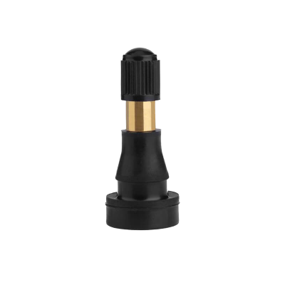 Valves TR600 HP pneu tubeless 10ex
