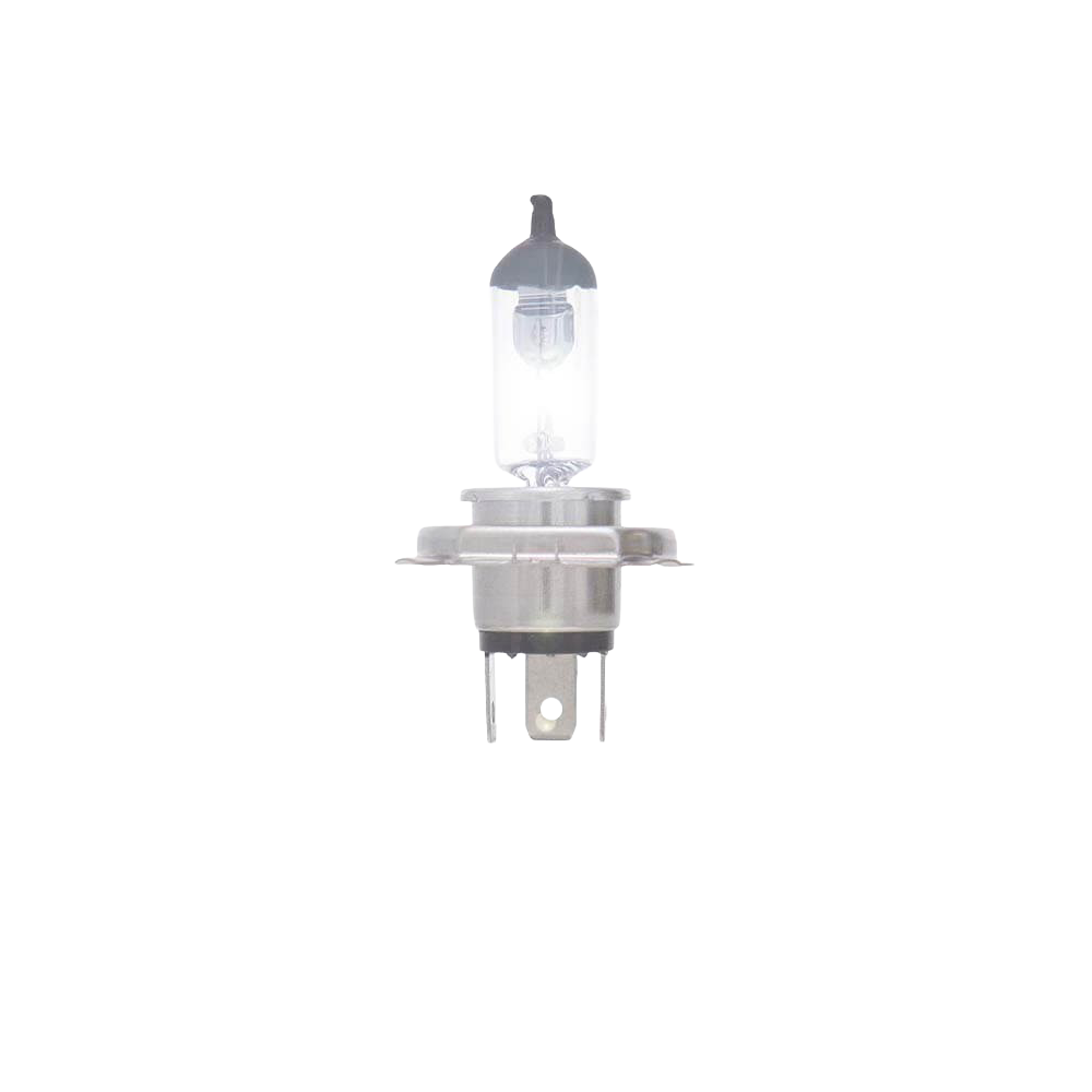 Boite 10 Ampoule H4 12V-100/80W