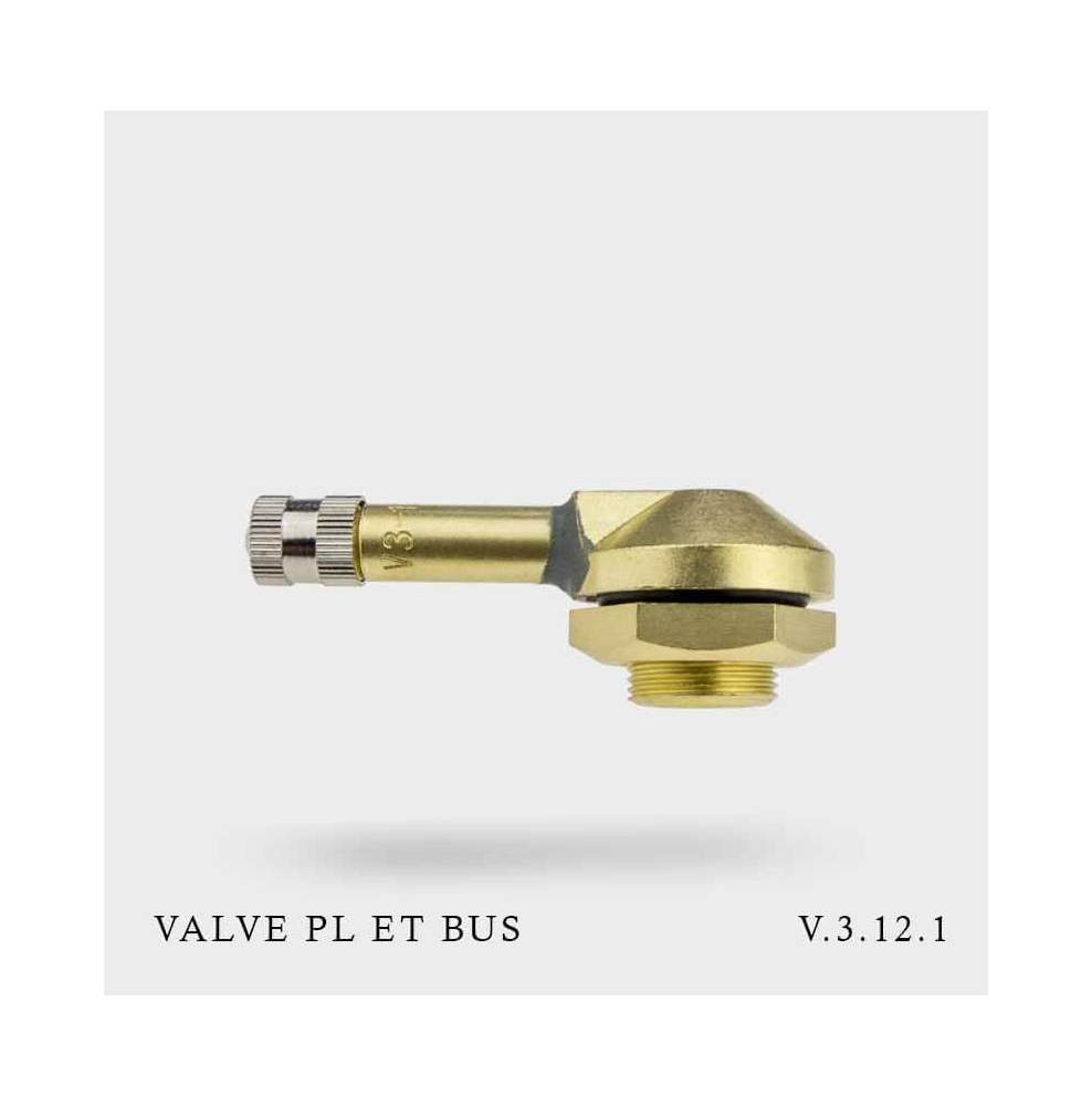 Valve V3.12.1 pour PL et Bus