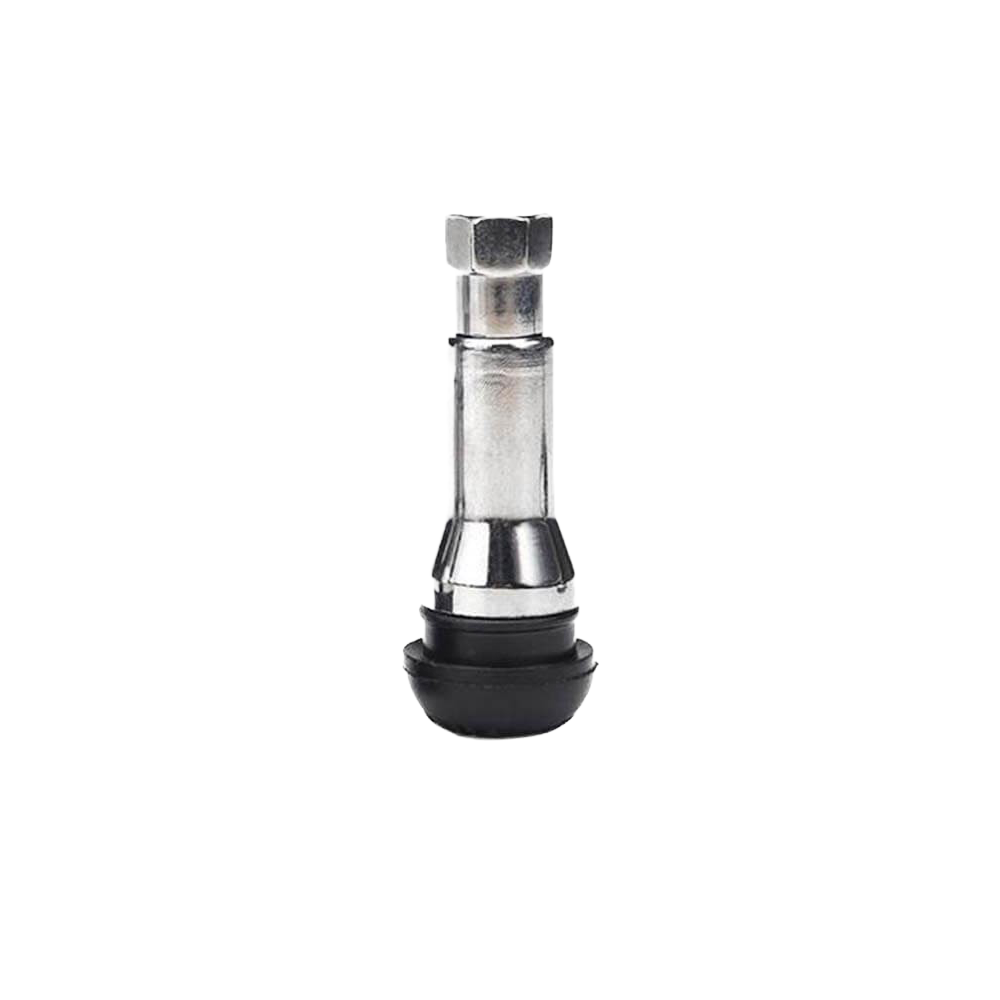 10 Valves pneu tubeless avec bague acier