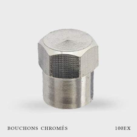 Bouchons de valves chromés