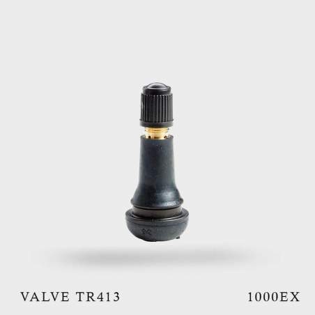 Ulisem 40 Pièces Voiture Pneu Tubeless Valve Bouchon,TR413 Valves de Pneu,Caoutchouc  Pneu Pneu Tige