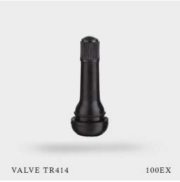 100 valves TR414