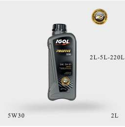 Huile Process 2290 Igol 2L