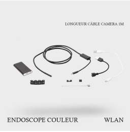 Endoscope couleurs