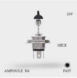 Ampoule H7 24V 70W Culot PX26d - Boite de 10 ex.