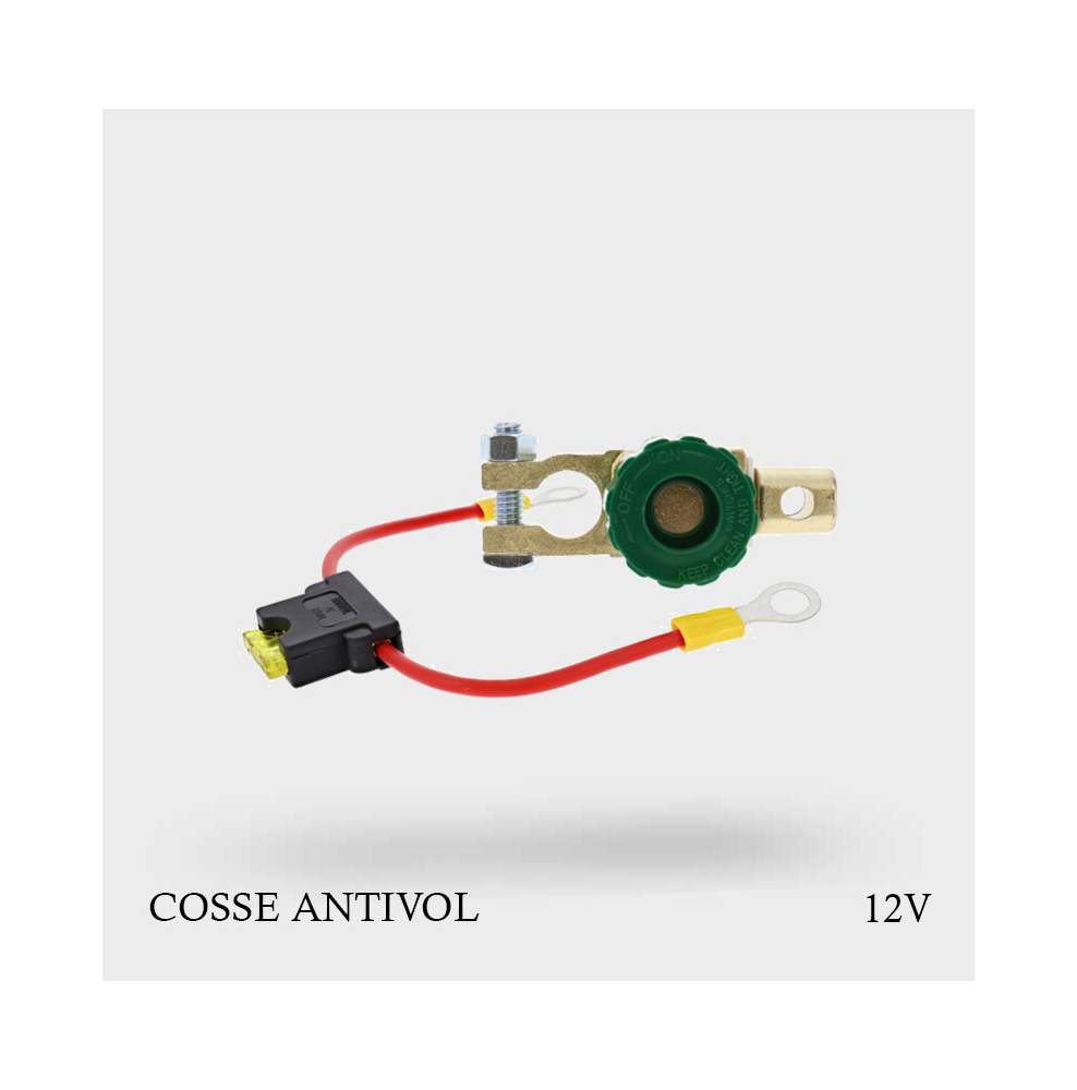 Cosse antivol de batterie 12 volts 