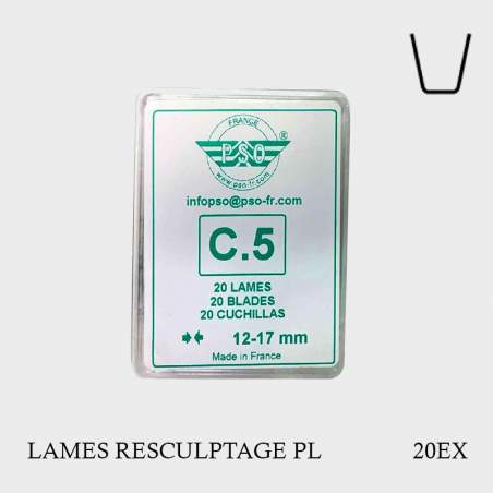 Lames de resculptage C5