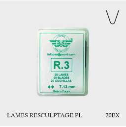 Lames de resculptage R3