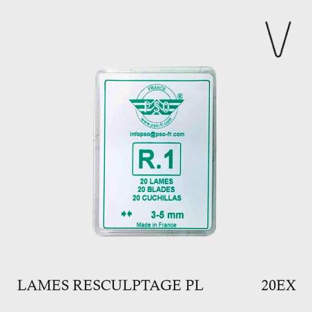 Lames de resculptage R1