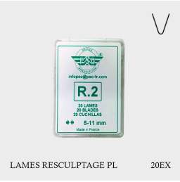 Lames de resculptage R2