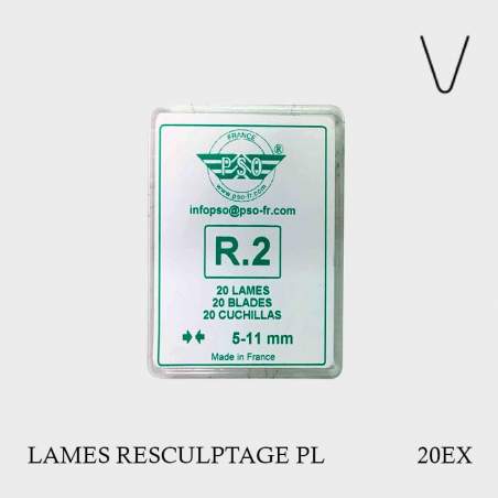 Lames de resculptage R2