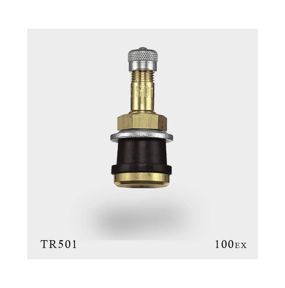 valve tr501 pour pneu PL par 100ex