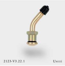 valve TT 2123, MS58 ou V3.22.1 pour pneu tubeless