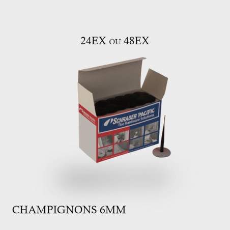 Champignons de réparation