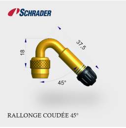 Rallonge de Valves coudées 45° Schrader