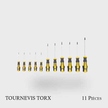 Jeu de tournevis profil Torx
