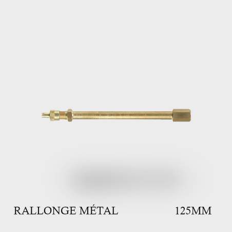La rallonge de valve de pneu en métal 125 mm